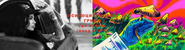 амф Горно-Алтайск