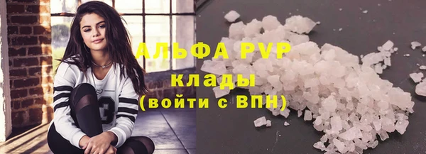 ГАЛЛЮЦИНОГЕННЫЕ ГРИБЫ Гусев