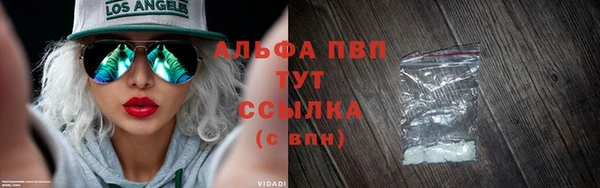 ГАЛЛЮЦИНОГЕННЫЕ ГРИБЫ Гусев