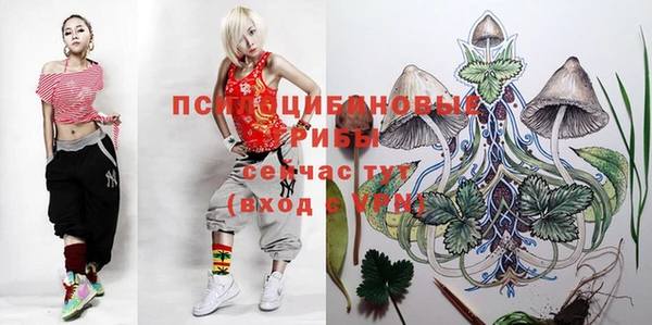 соль ск Горняк